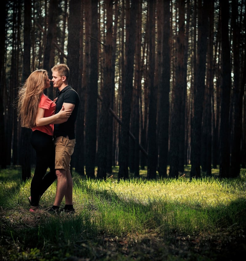 Forest Love Story